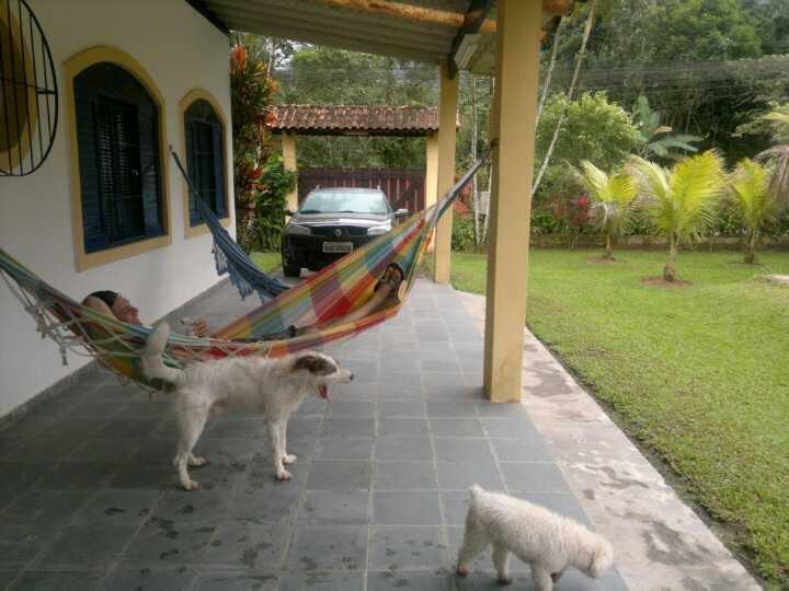 Junglez Eco Hostel Guarau Extérieur photo